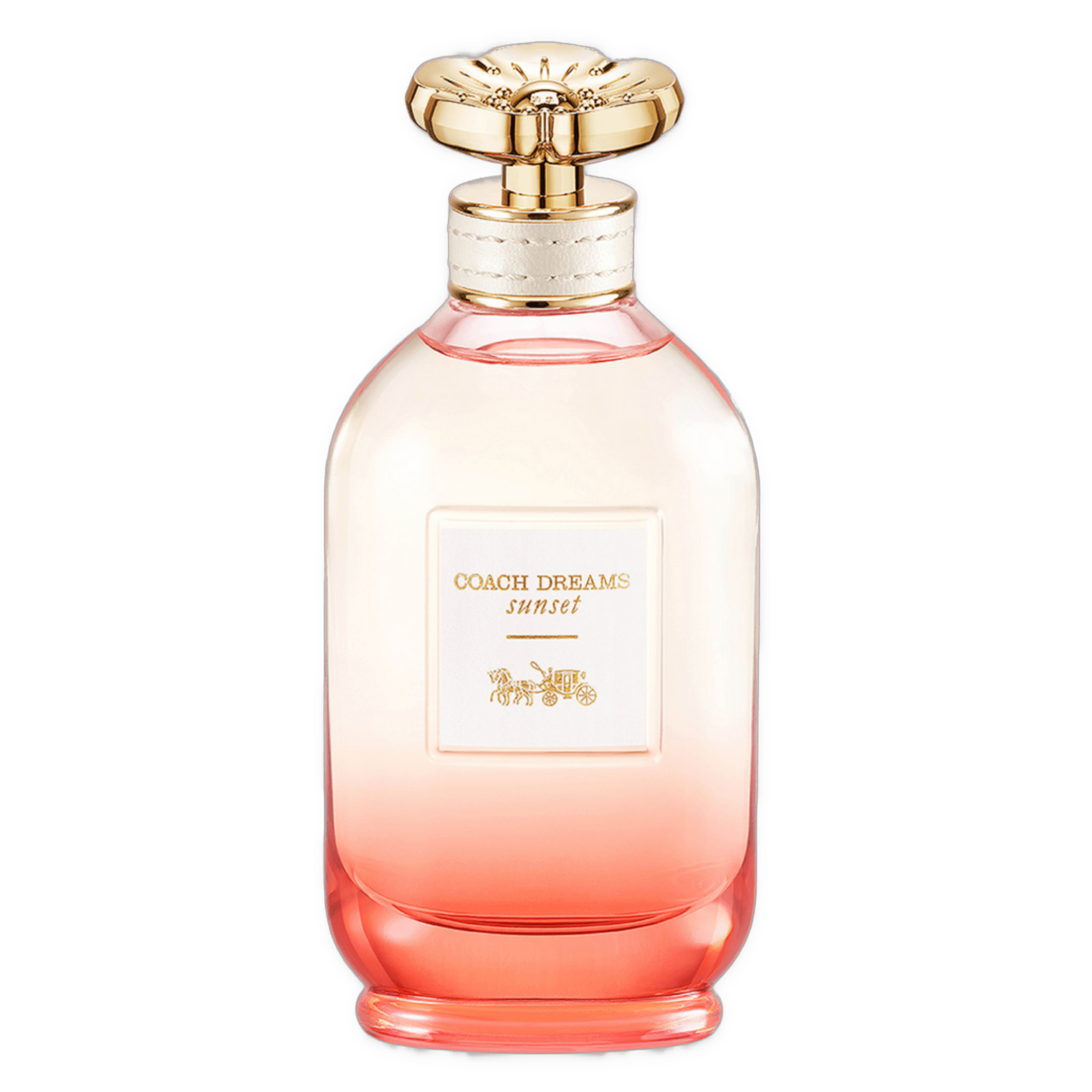 Coach | Dreams Sunset | EDP | 8mL Travel Spray | Shop Now @ MNF