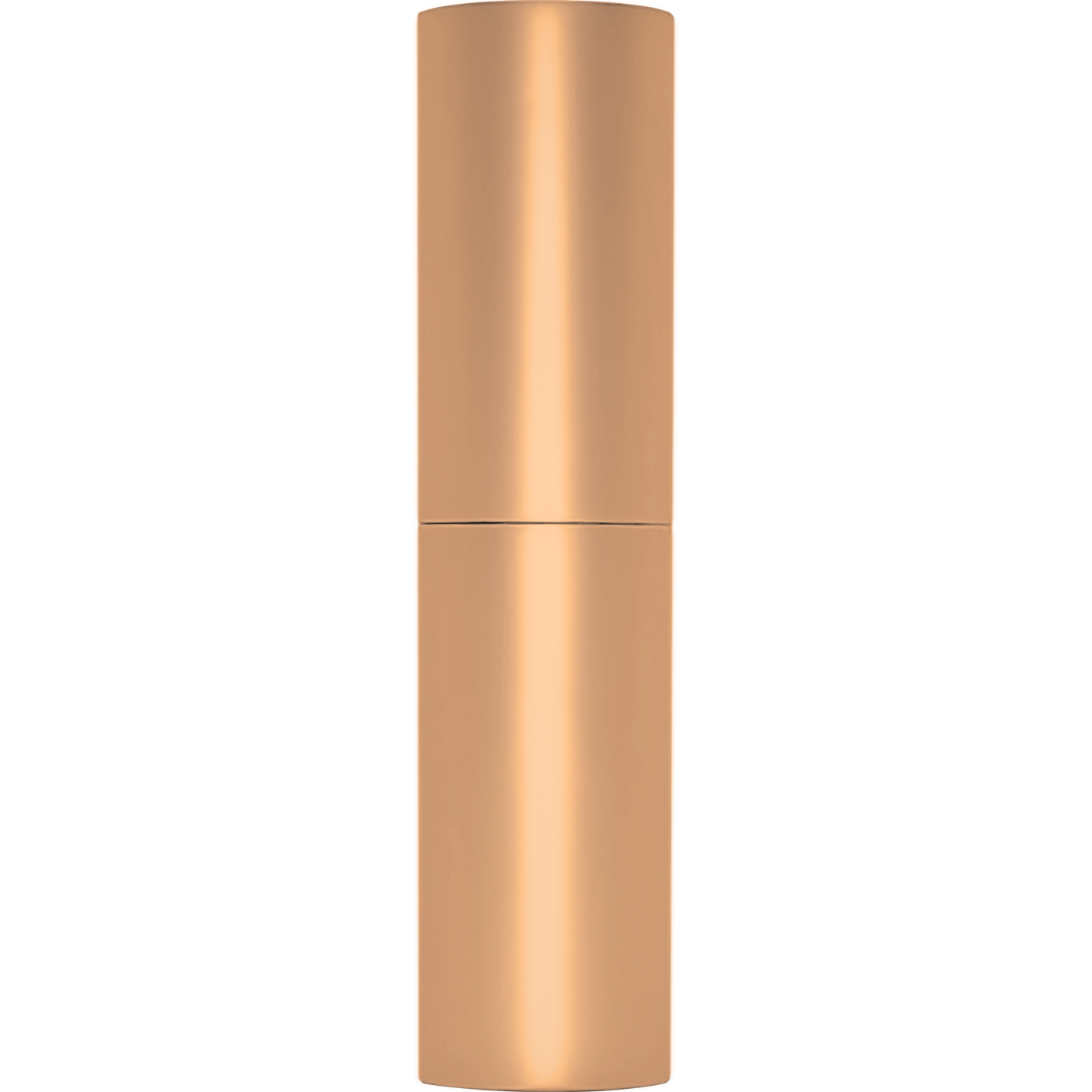 Gold | Matte Travel Case